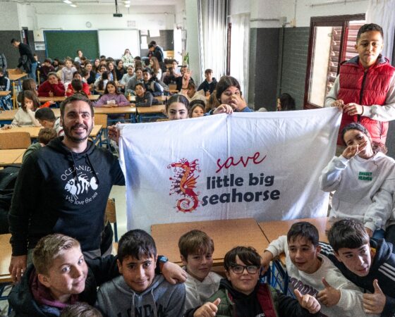 Save Little Big Seahorse llega a los colegios