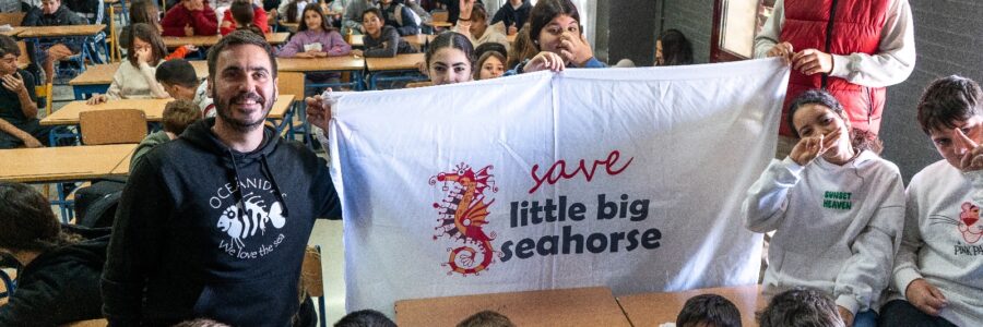 Save Little Big Seahorse llega a los colegios