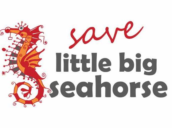 Save Little Big Seahorse