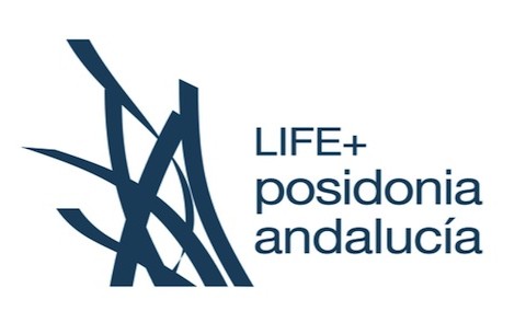 Conoce Posidonia oceanica