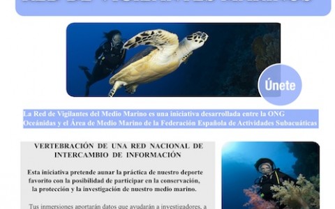 Vigilantes Marinos