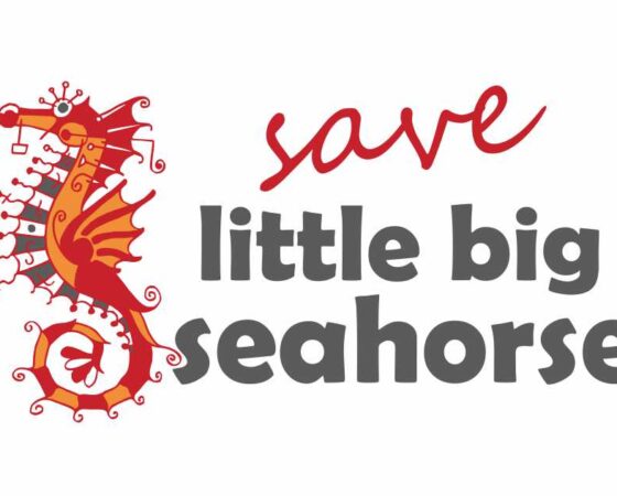 Little Big Seahorse