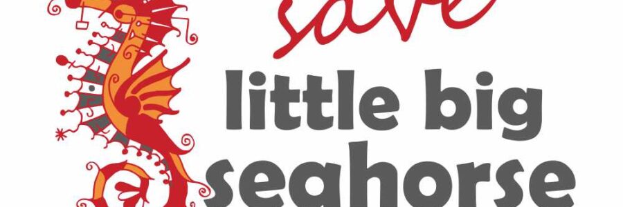 Little Big Seahorse