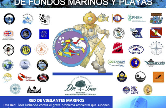 Finaliza  la VIII Gran Limpieza Internacional de Fondos Marinos