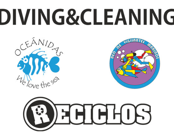 DIVING & CLEANING